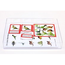 Sliding and revealing game deposits - dinosaurs