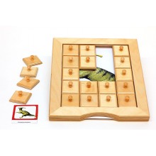 Schiebe- und Aufdeckspieleinlagen - Dinosaurier