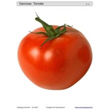 Sliding and turndown inserts - Gemüse Deutschland