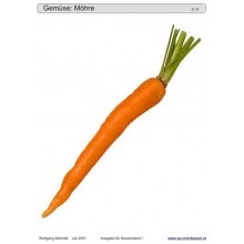 Posuvné a odkrývajúce vložky do hry - Zelenina Nemecko