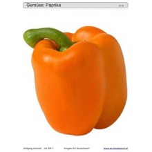 Posuvné a odkrývajúce vložky do hry - Zelenina Nemecko