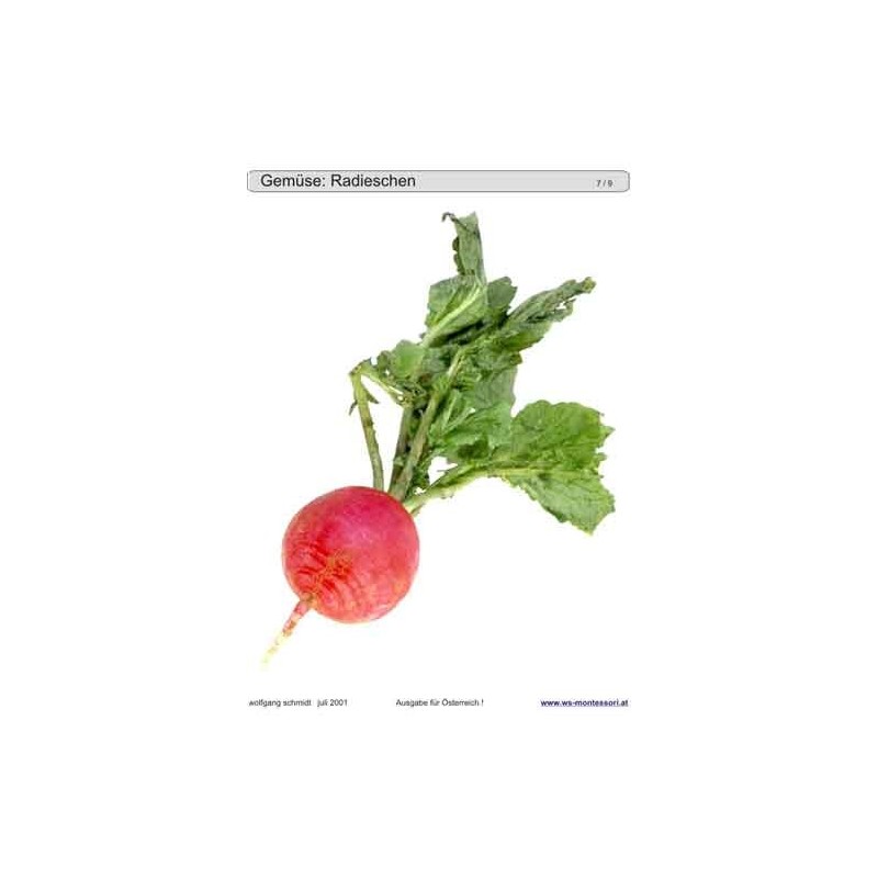 Schiebe- und Aufdeckspieleinlagen - Gemüse Österreich