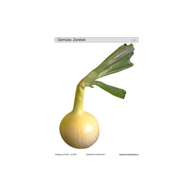 Sliding and turndown inserts - Gemüse Austria