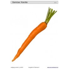 Schiebe- und Aufdeckspieleinlagen - Gemüse Österreich