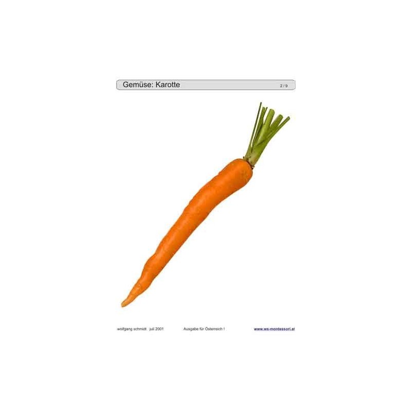 Posuvné a odkrývajúce vložky do hry - Zelenina Rakúsko