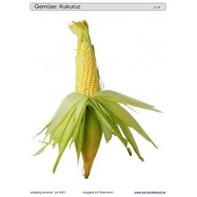 Sliding and turndown inserts - Gemüse Austria