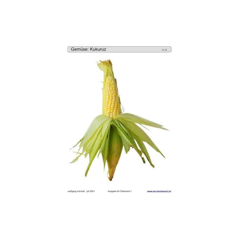 Schiebe- und Aufdeckspieleinlagen - Gemüse Österreich