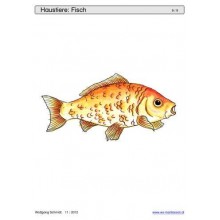 Sliding and turndown inserts - pets