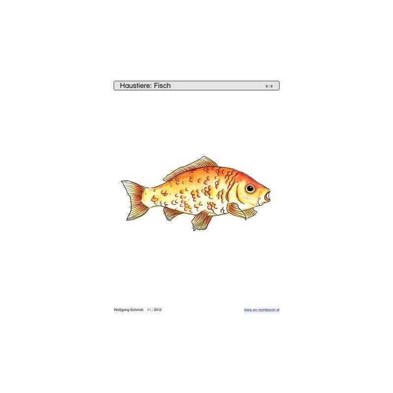 Posuvné a odkrývajúce hracie podnosy - domáce zvieratá