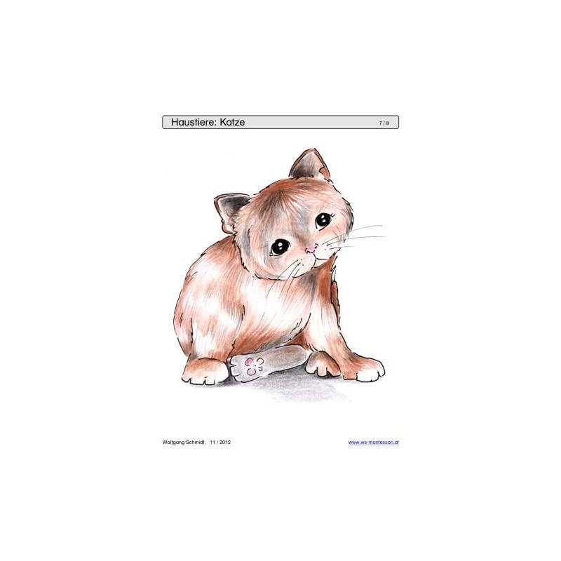 Sliding and turndown inserts - pets