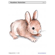 Schiebe- und Aufdeckspieleinlagen - Haustiere