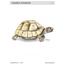 Schiebe- und Aufdeckspieleinlagen - Haustiere