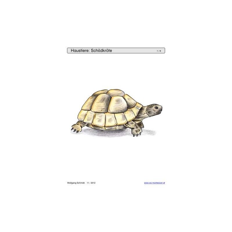 Sliding and turndown inserts - pets