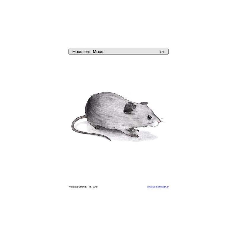 Sliding and turndown inserts - pets