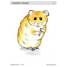 Sliding and turndown inserts - pets