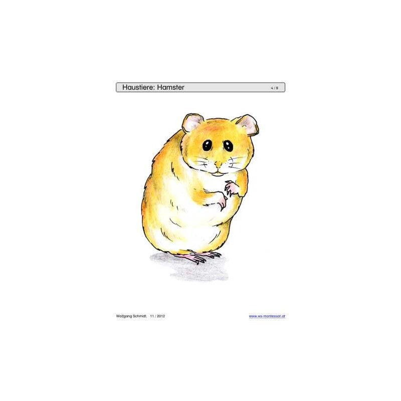 Sliding and turndown inserts - pets