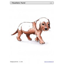 Schiebe- und Aufdeckspieleinlagen - Haustiere