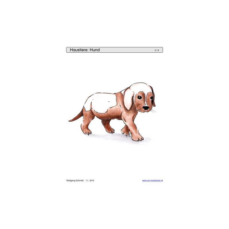 Sliding and turndown inserts - pets