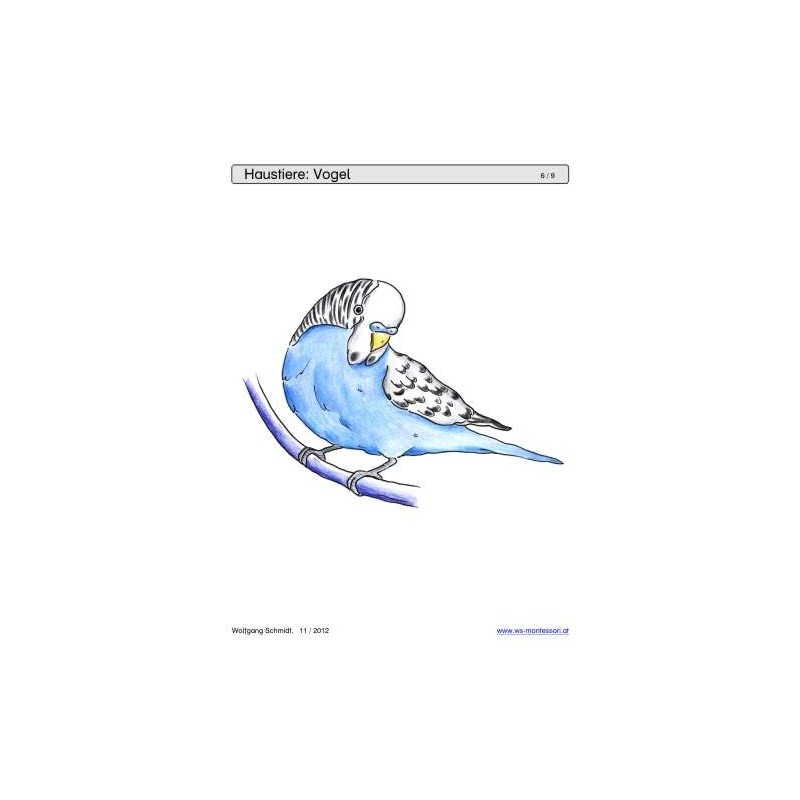 Posuvné a odkrývajúce hracie podnosy - domáce zvieratá