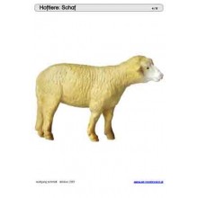 Schiebe- und Aufdeckspieleinlagen - Hoftiere