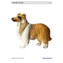 Sliding and turndown inserts - dogs