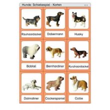Schiebe- und Aufdeckspieleinlagen - Hunde