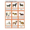 Schiebe- und Aufdeckspieleinlagen - Hunde
