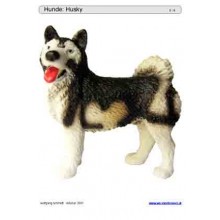 Schiebe- und Aufdeckspieleinlagen - Hunde