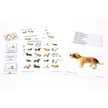 Sliding and turndown inserts - dogs