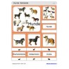 Schiebe- und Aufdeckspieleinlagen - Hunde