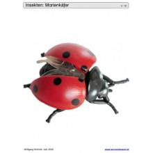 Sliding and turndown inserts