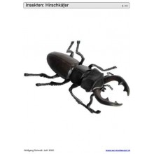 Sliding and turndown inserts