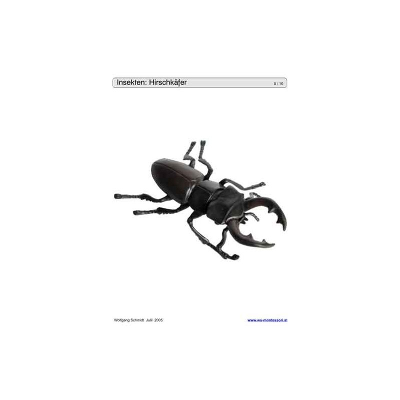 Schiebe- und Aufdeckspieleinlagen - Insekten
