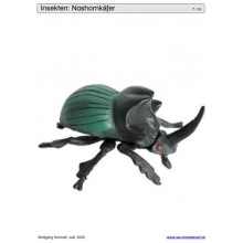 Schiebe- und Aufdeckspieleinlagen - Insekten
