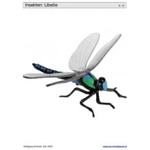 Schiebe- und Aufdeckspieleinlagen - Insekten