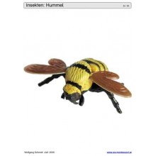 Schiebe- und Aufdeckspieleinlagen - Insekten