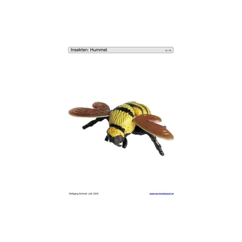 Schiebe- und Aufdeckspieleinlagen - Insekten