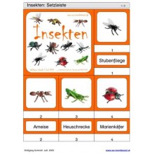 Schiebe- und Aufdeckspieleinlagen - Insekten