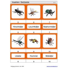 Schiebe- und Aufdeckspieleinlagen - Insekten