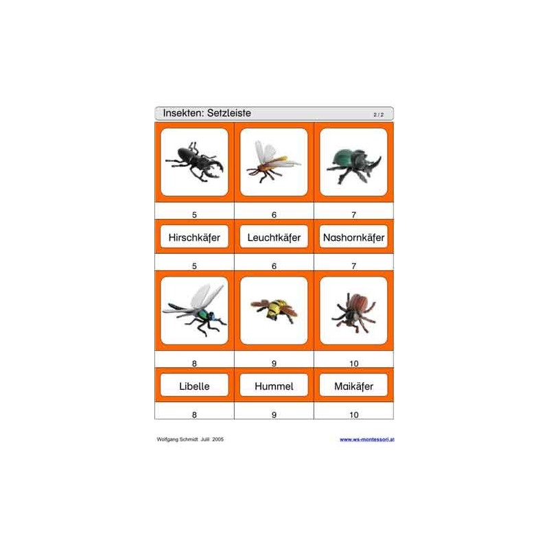Schiebe- und Aufdeckspieleinlagen - Insekten