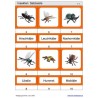 Schiebe- und Aufdeckspieleinlagen - Insekten