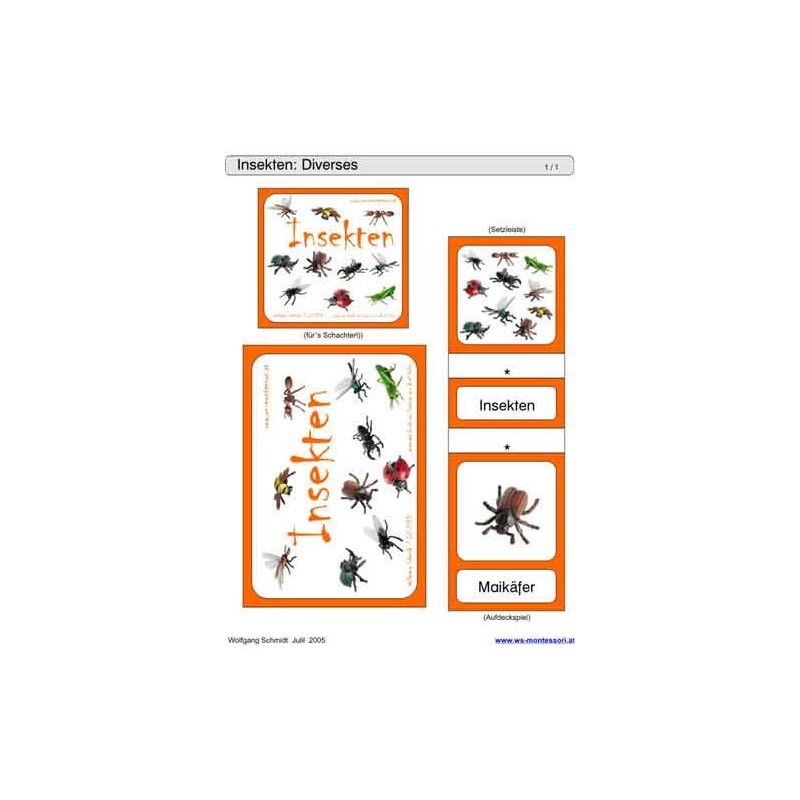 Schiebe- und Aufdeckspieleinlagen - Insekten