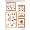 Schiebe- und Aufdeckspieleinlagen - Insekten