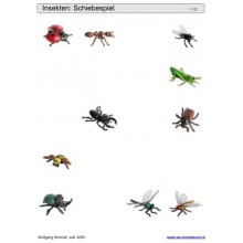 Schiebe- und Aufdeckspieleinlagen - Insekten