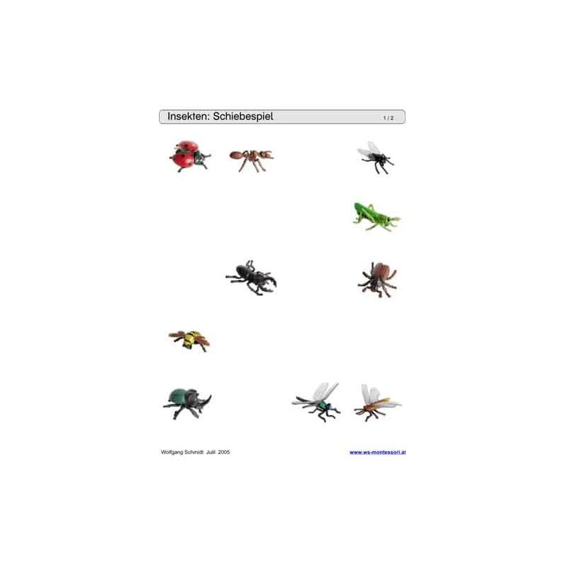 Schiebe- und Aufdeckspieleinlagen - Insekten