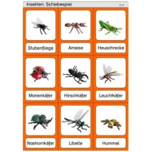 Schiebe- und Aufdeckspieleinlagen - Insekten
