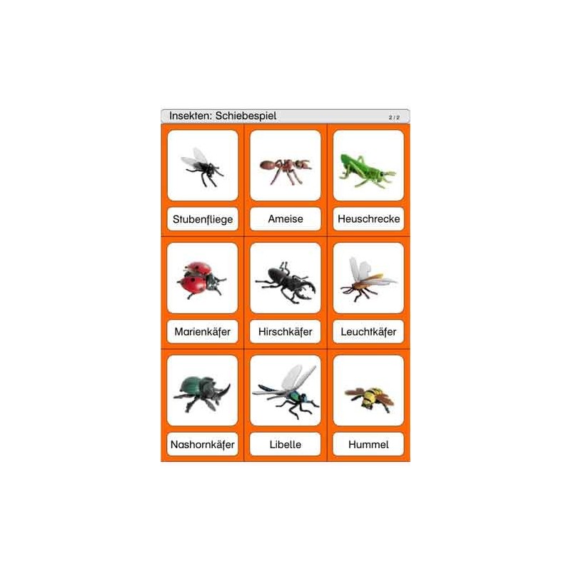 Schiebe- und Aufdeckspieleinlagen - Insekten