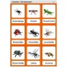 Schiebe- und Aufdeckspieleinlagen - Insekten