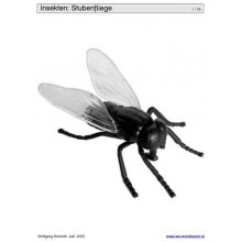 Schiebe- und Aufdeckspieleinlagen - Insekten