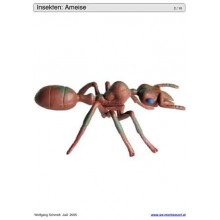 Posúvajte a odkrývajte vložky do hry - hmyz